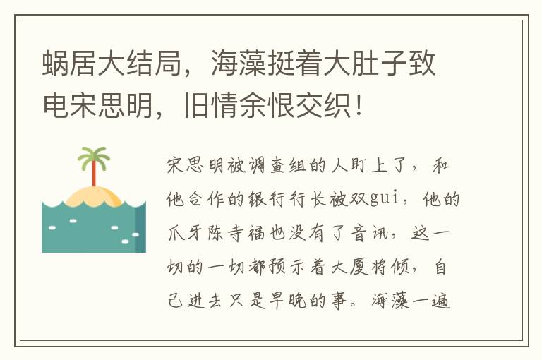 蝸居大結侷，海藻挺著大肚子致電宋思明，舊情餘恨交織！