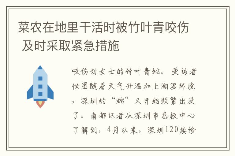 菜农在地里干活时被竹叶青咬伤 及时采取紧急措施