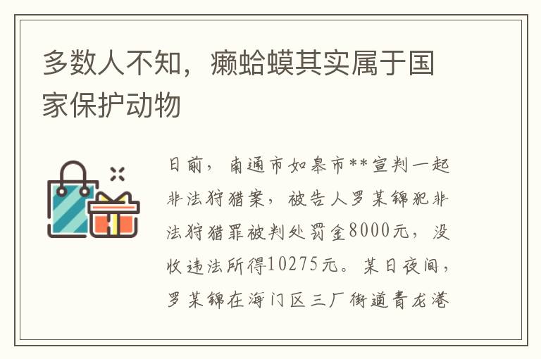 多數人不知，癩蛤蟆其實屬於國家保護動物