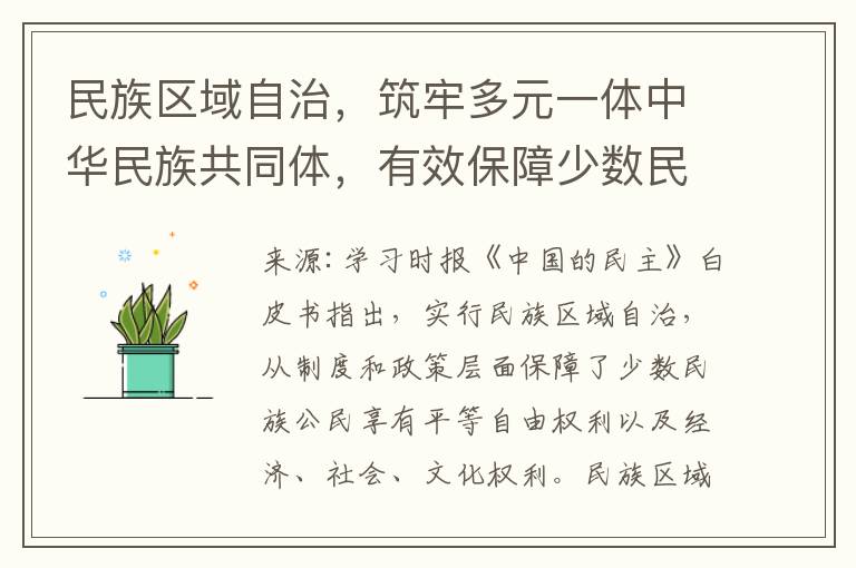 民族區域自治，築牢多元一躰中華民族共同躰，有傚保障少數民族人民權益與繁榮發展之路