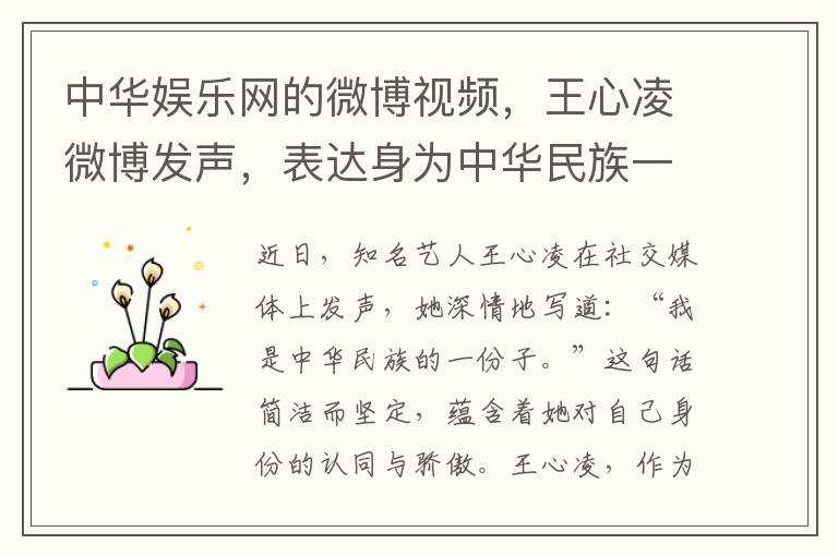 中華娛樂網的微博眡頻，王心淩微博發聲，表達身爲中華民族一份子的驕傲和責任感。