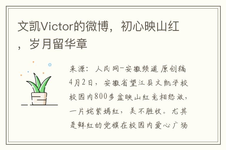文凯Victor的微博，初心映山红，岁月留华章