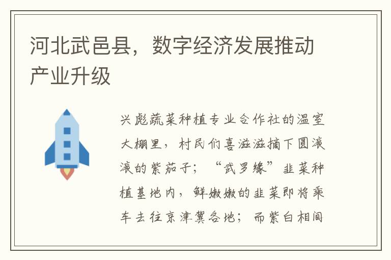 河北武邑县，数字经济发展推动产业升级