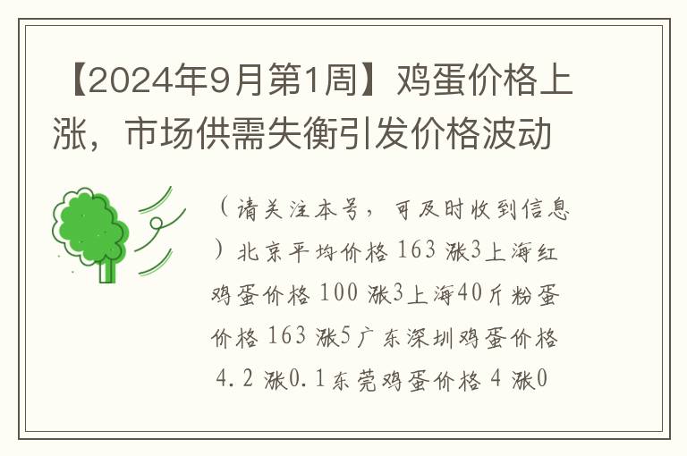 【2024年9月第1周】鸡蛋价格上涨，市场供需失衡引发价格波动