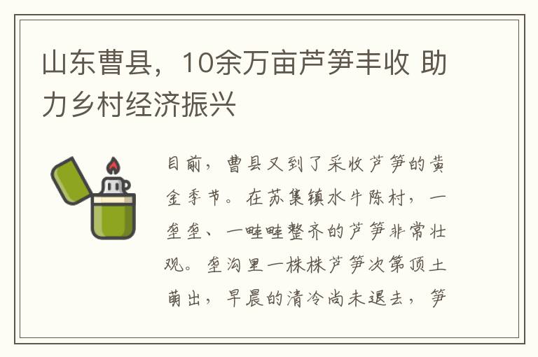 山东曹县，10余万亩芦笋丰收 助力乡村经济振兴