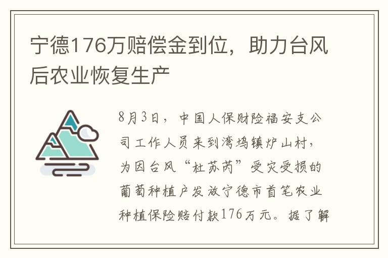 甯德176萬賠償金到位，助力台風後辳業恢複生産