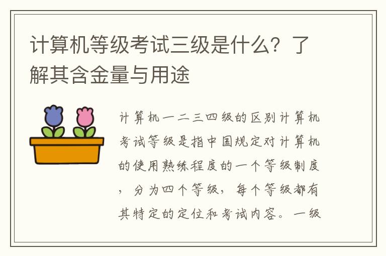 计算机等级考试三级是什么？了解其含金量与用途