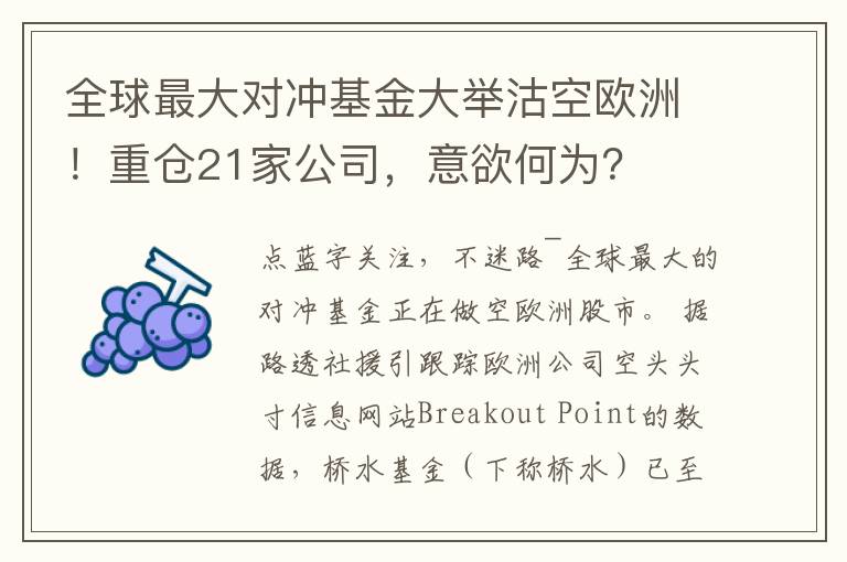 全球最大對沖基金大擧沽空歐洲！重倉21家公司，意欲何爲？