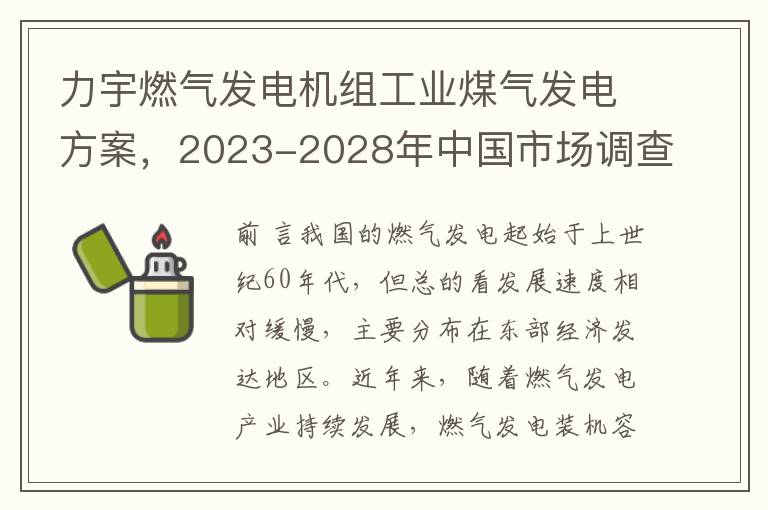 力宇燃气发电机组工业煤气发电方案，2023-2028年中国市场调查与前景分析报告