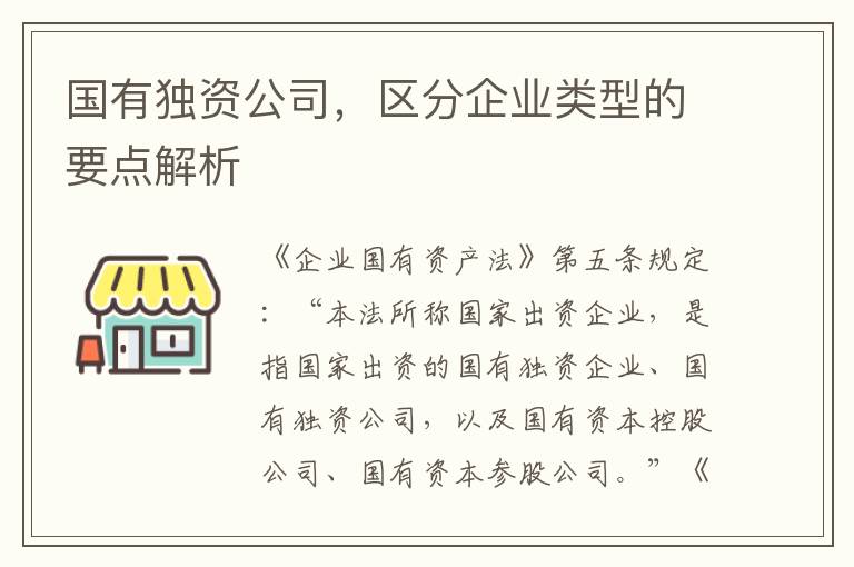 國有獨資公司，區分企業類型的要點解析