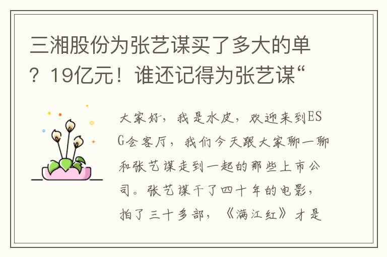 三湘股份为张艺谋买了多大的单？19亿元！谁还记得为张艺谋“买单”的上市公司？