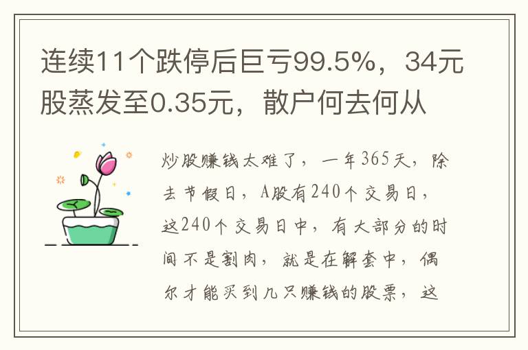 连续11个跌停后巨亏99.5%，34元股蒸发至0.35元，散户何去何从？