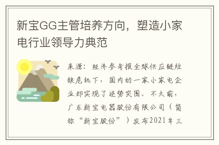 新宝GG主管培养方向，塑造小家电行业领导力典范