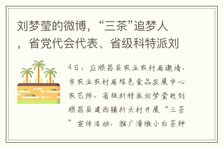 刘梦莹的微博，“三茶”追梦人，省党代会代表、省级科特派刘梦莹助力闽北茶产业发展