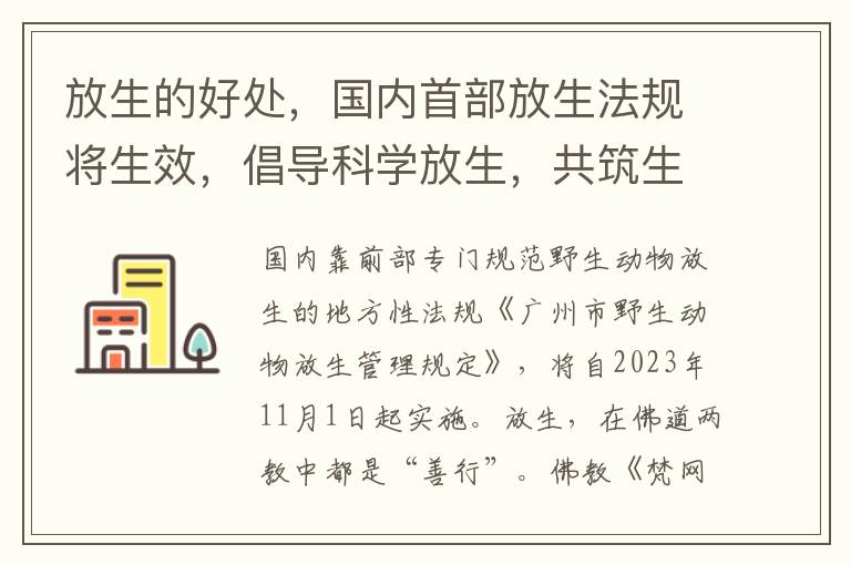 放生的好处，国内首部放生法规将生效，倡导科学放生，共筑生态和谐