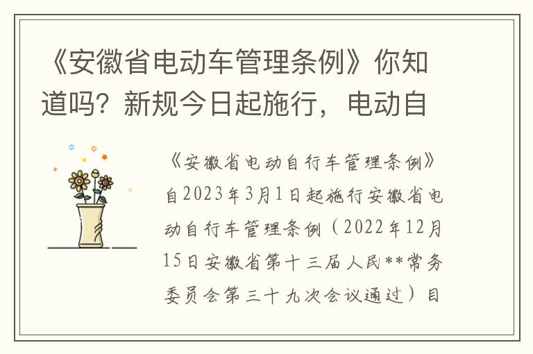 《安徽省電動車琯理條例》你知道嗎？新槼今日起施行，電動自行車琯理再陞級！