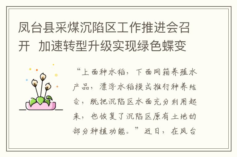 凤台县采煤沉陷区工作推进会召开  加速转型升级实现绿色蝶变