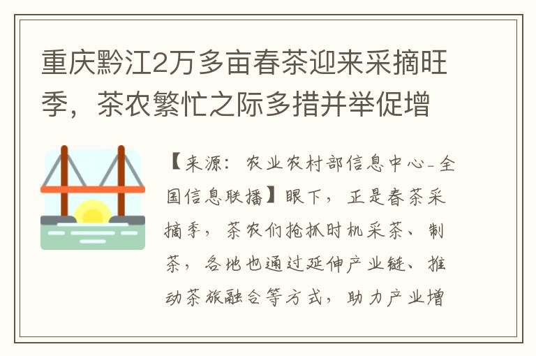 重庆黔江2万多亩春茶迎来采摘旺季，茶农繁忙之际多措并举促增收