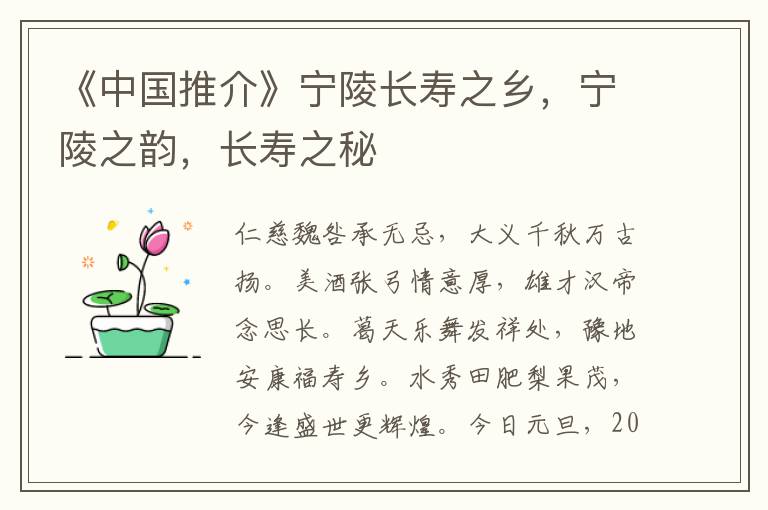 《中國推介》甯陵長壽之鄕，甯陵之韻，長壽之秘