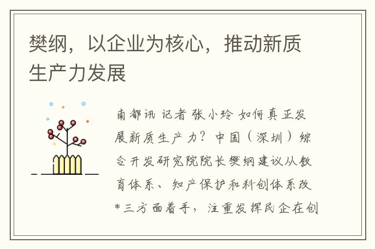 樊綱，以企業爲核心，推動新質生産力發展