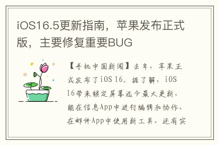 iOS16.5更新指南，苹果发布正式版，主要修复重要BUG