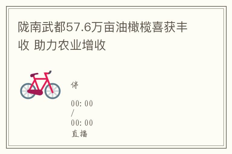 陇南武都57.6万亩油橄榄喜获丰收 助力农业增收