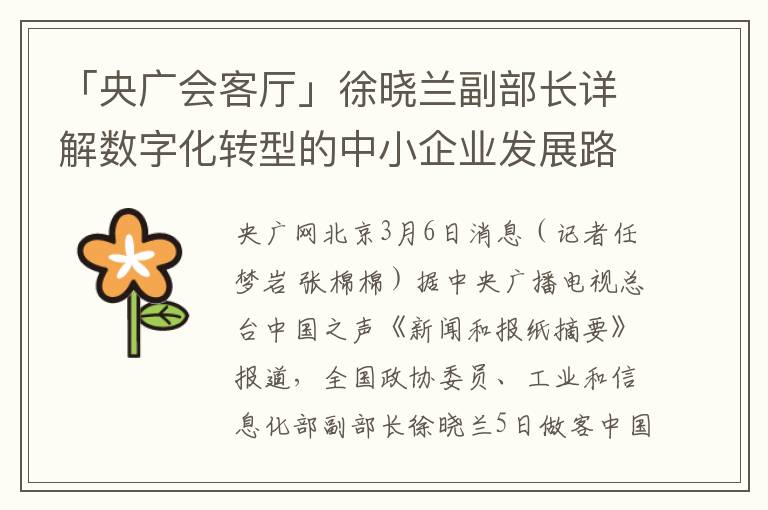「央广会客厅」徐晓兰副部长详解数字化转型的中小企业发展路径
