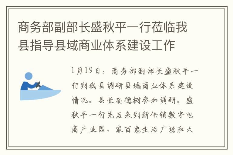 商务部副部长盛秋平一行莅临我县指导县域商业体系建设工作