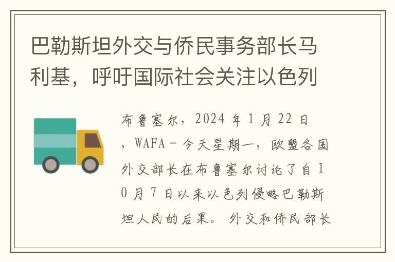 巴勒斯坦外交与侨民事务部长马利基，呼吁国际社会关注以色列侵略行为