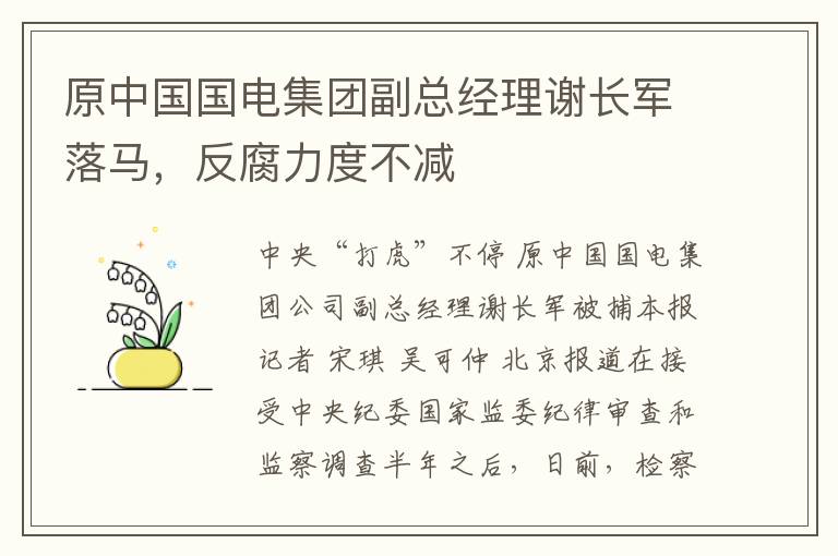 原中国国电集团副总经理谢长军落马，反腐力度不减