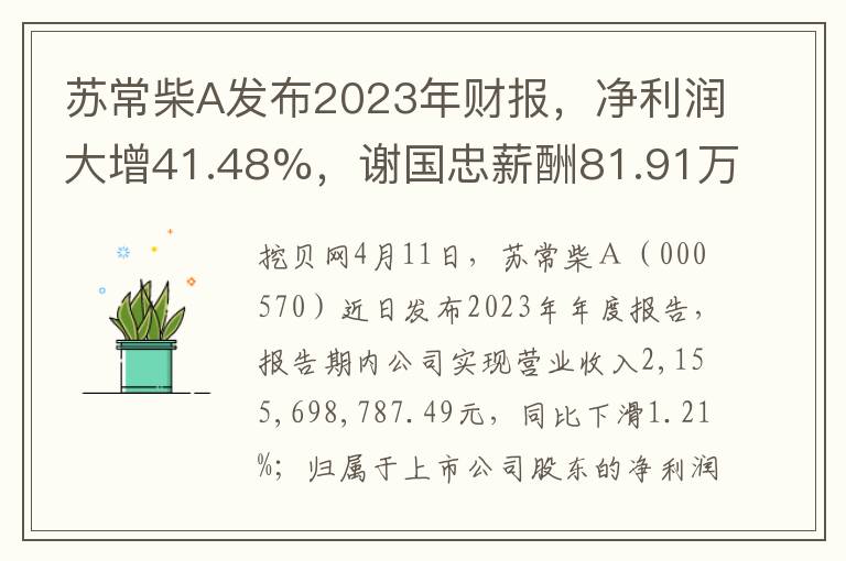 苏常柴A发布2023年财报，净利润大增41.48%，谢国忠薪酬81.91万