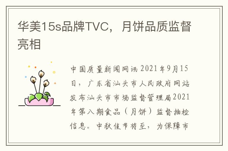 华美15s品牌TVC，月饼品质监督亮相