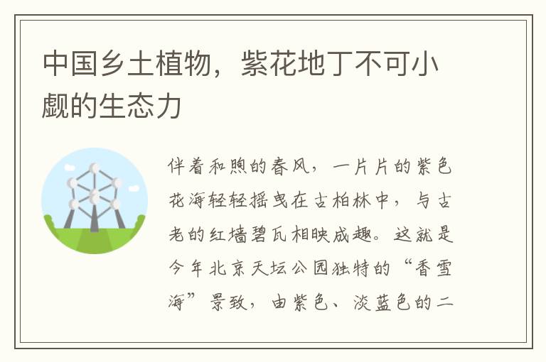 中國鄕土植物，紫花地丁不可小覰的生態力