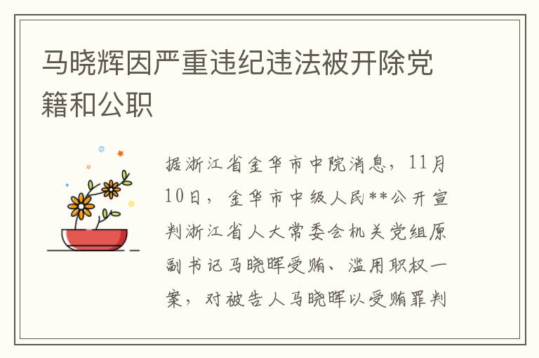 马晓辉因严重违纪违法被开除党籍和公职