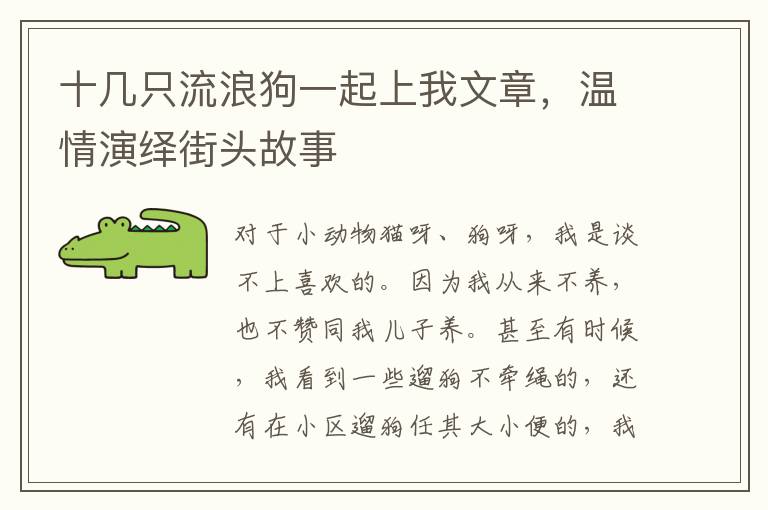 十几只流浪狗一起上我文章，温情演绎街头故事