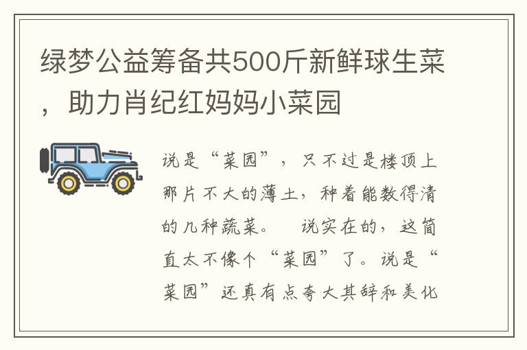 绿梦公益筹备共500斤新鲜球生菜，助力肖纪红妈妈小菜园