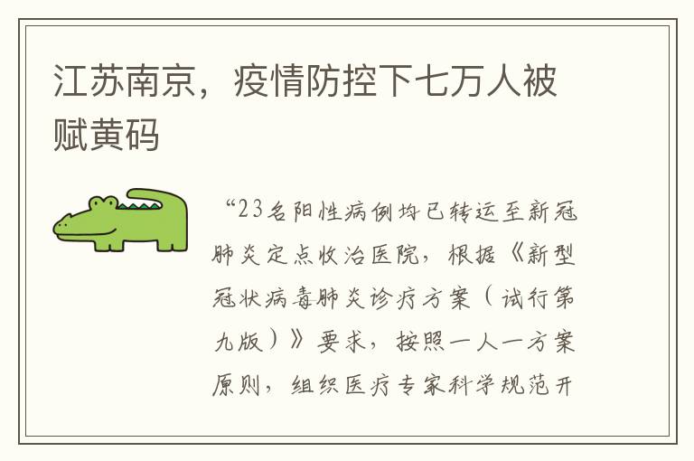 江囌南京，疫情防控下七萬人被賦黃碼
