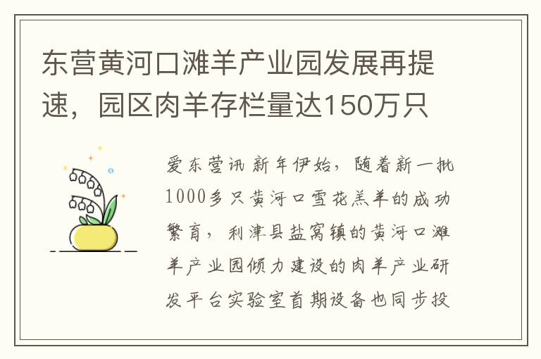 东营黄河口滩羊产业园发展再提速，园区肉羊存栏量达150万只