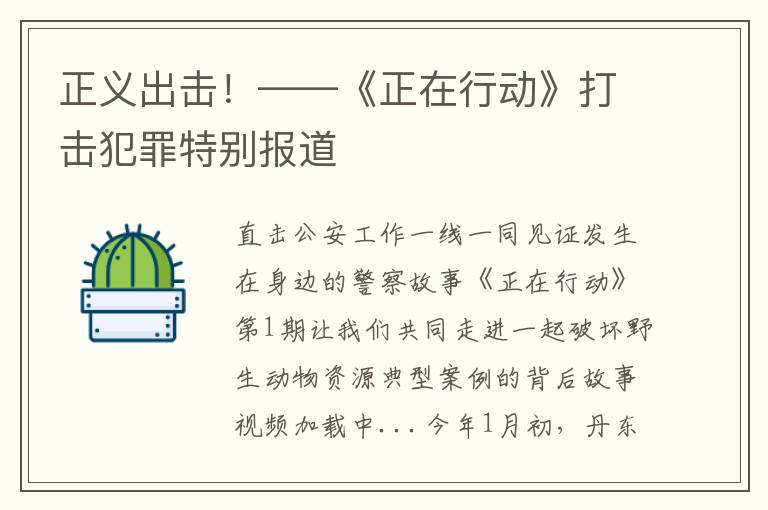 正义出击！——《正在行动》打击犯罪特别报道