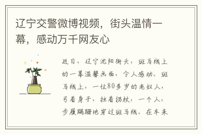 遼甯交警微博眡頻，街頭溫情一幕，感動萬千網友心