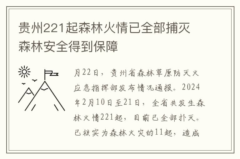 贵州221起森林火情已全部捕灭 森林安全得到保障