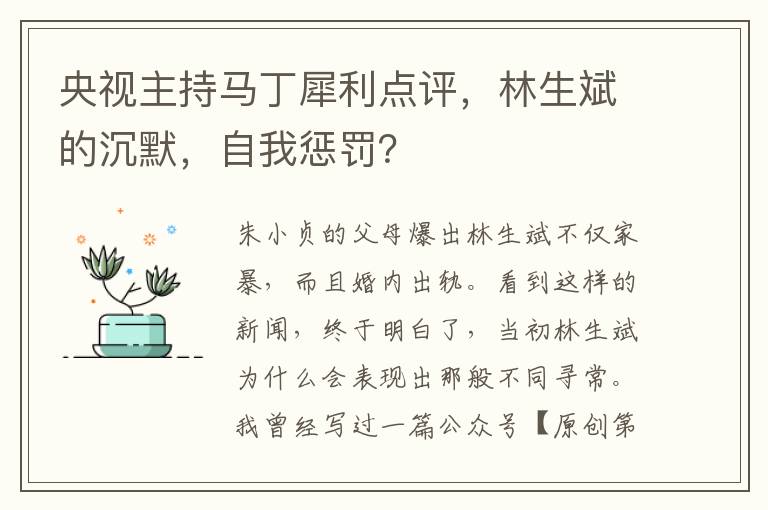 央视主持马丁犀利点评，林生斌的沉默，自我惩罚？