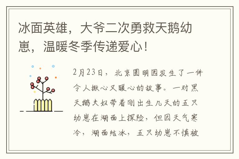 冰面英雄，大爷二次勇救天鹅幼崽，温暖冬季传递爱心！