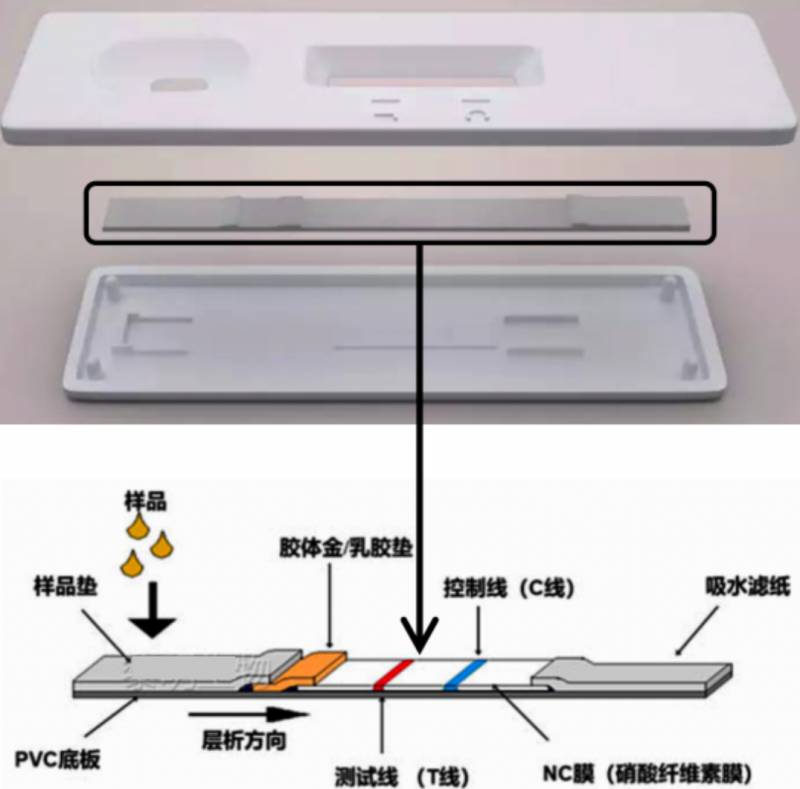 抗原试剂盒使用方法视频教程（试剂盒检测方法）