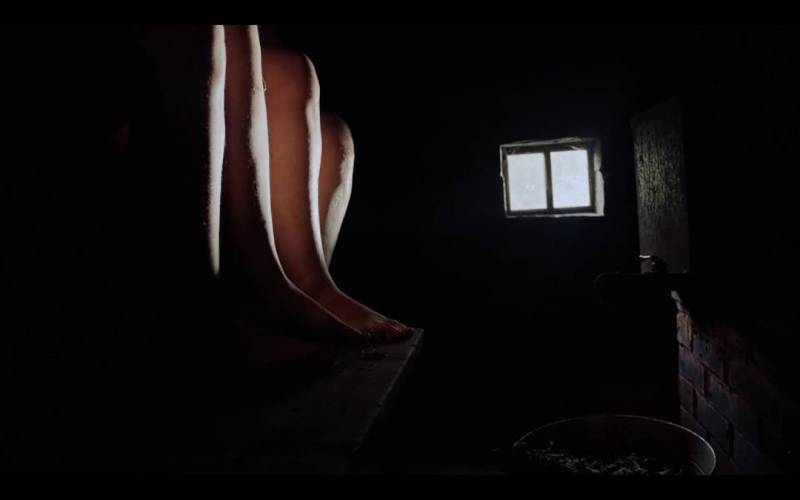 高口碑爱沙尼亚纪录片《桑拿房的女性私语》1080P（纪录片巴西风情）