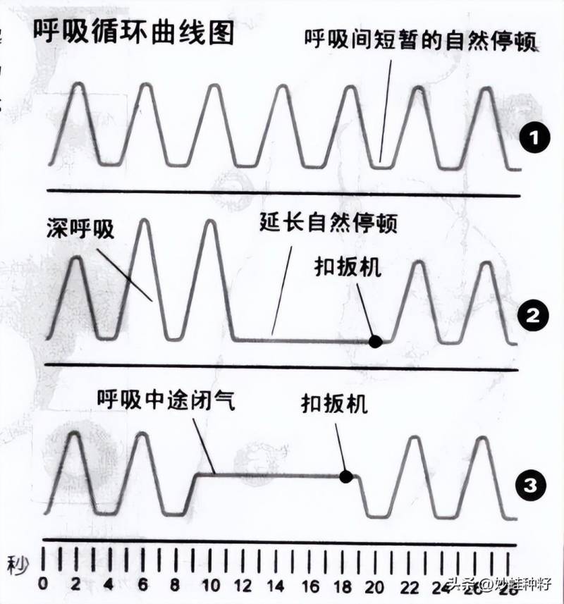 女士情趣用品怎么用（怎么控制射击精）