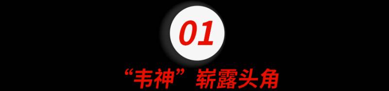 国际数学奥林匹克竞赛金牌得主聂子佩的数学研究故事（数学四大顶级期刊）