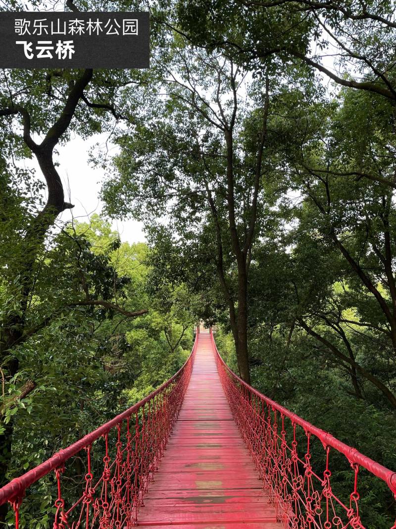 玉峰山森林公园门票多少钱（玉峰山要门票吗）