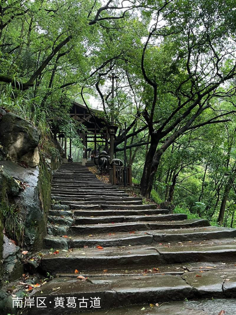 玉峰山森林公园门票多少钱（玉峰山要门票吗）