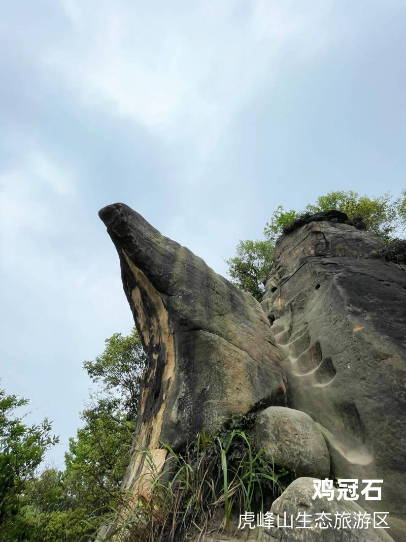 玉峰山森林公园门票多少钱（玉峰山要门票吗）